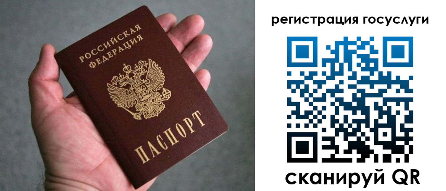 прописка поиск в Кукморе